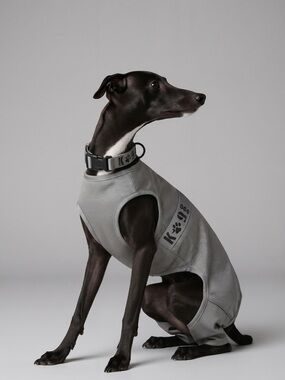 Top Paw Gray Dog Collar with Black Buckle Size Large